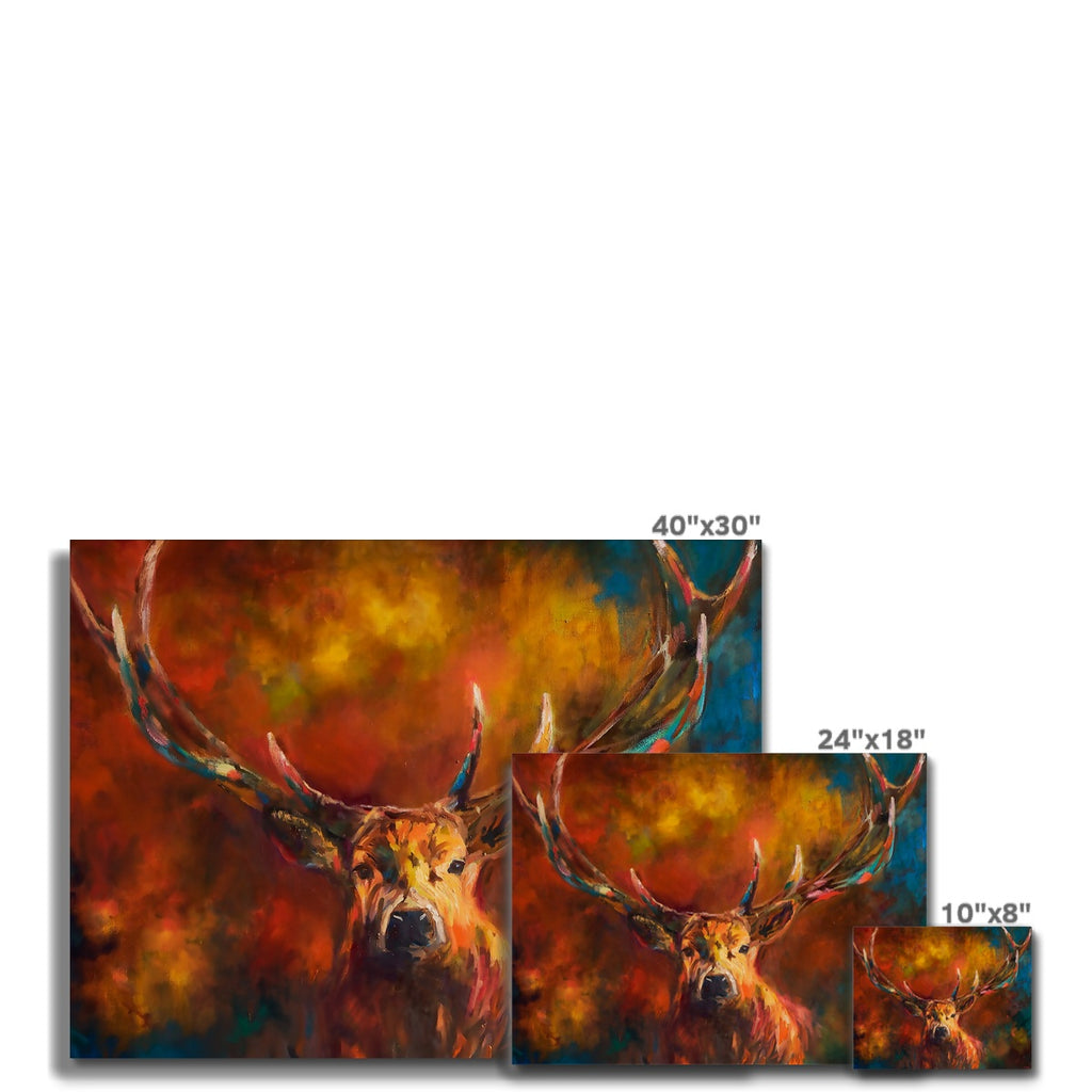 Autumn Stag Canvas - - susan gardner - uk artist - colourful animal art