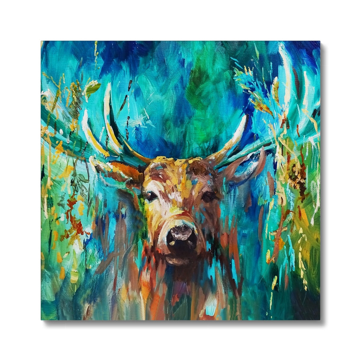Forest Light Canvas - Animal Art by Susan Gardner - Contemporary Expressionist - Colourful Fine Art