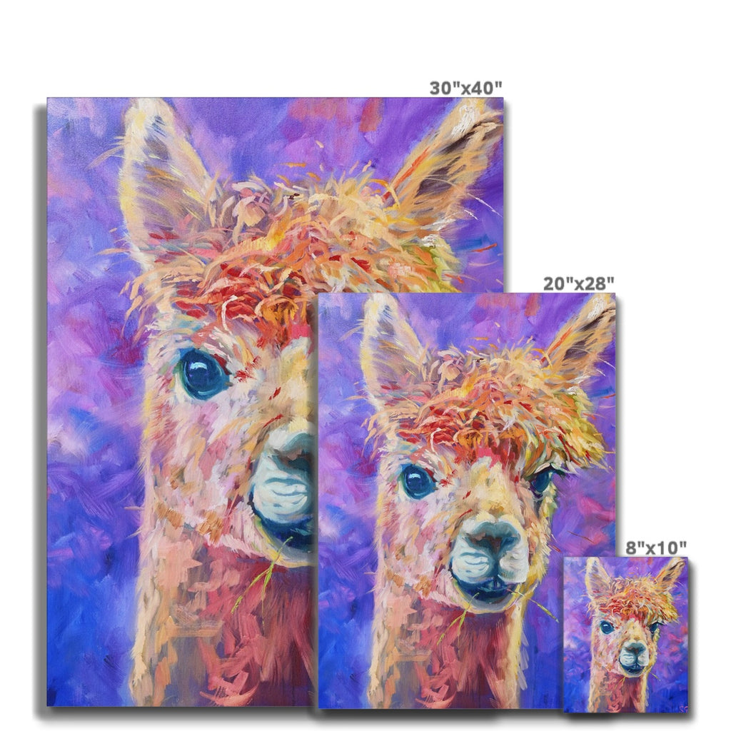 Chiquitita Canvas - - susan gardner - uk artist - colourful animal art