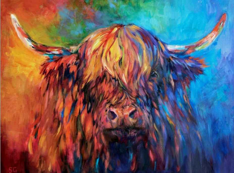 Glendevon - Highland Cow Canvas - - susan gardner - uk artist - colourful animal art
